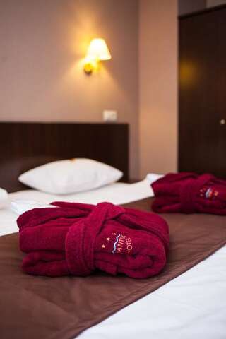 Отель Romantik SPA Hotel Яремче Двухместный номер с 1 кроватью или 2 отдельными кроватями и балконом, гостям предоставляется доступ в спа-центр-3
